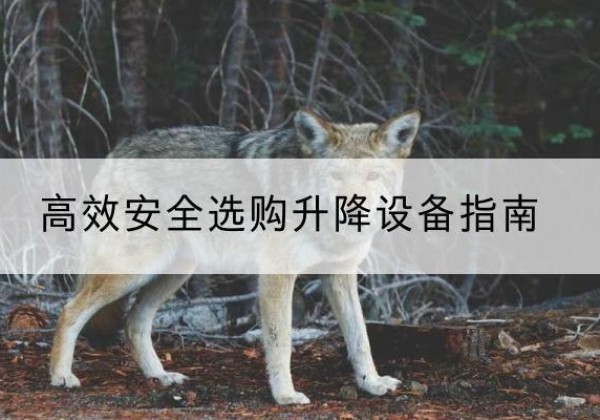 赵县升降货梯厂家推荐-*安全选购升降设备指南