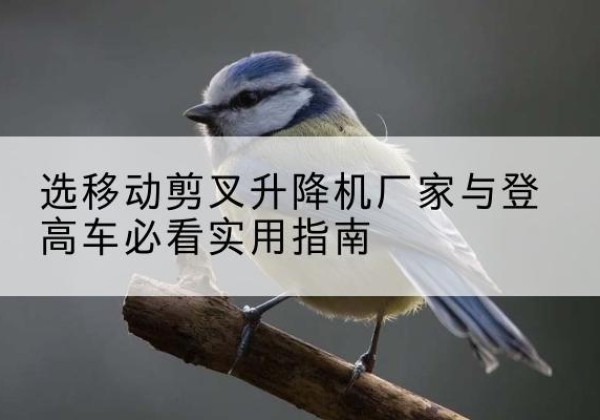 赵县电动升降机厂家-选移动剪叉升降机厂家与登高车必看实用指南